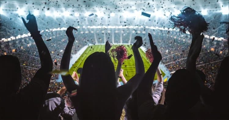 sports fans stand and cheer during a game inside an enclosed arena