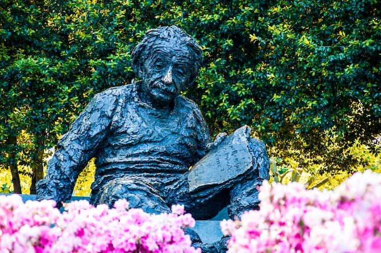 Statue of Albert Einstein surrounded by flowers