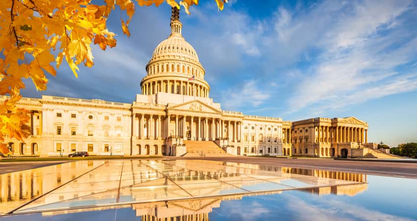 The U.S. Capitol surrounded by yellow autumn leaves 